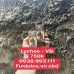 CBD Juice Relax Zeus Lychee FUNJUICE.VN / Vape Tinh Dau oil CBD THC HCM Vietnam